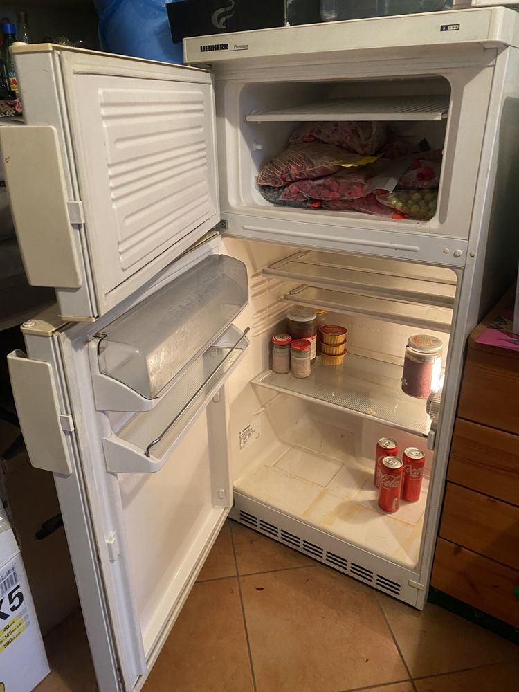 Lodówka biała z zamrażalnikiem