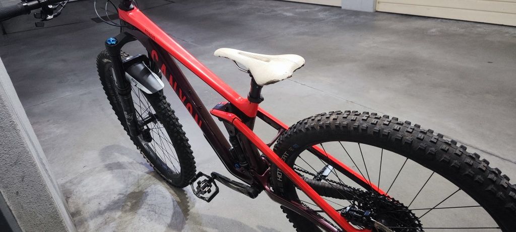 Canyon strive enduro