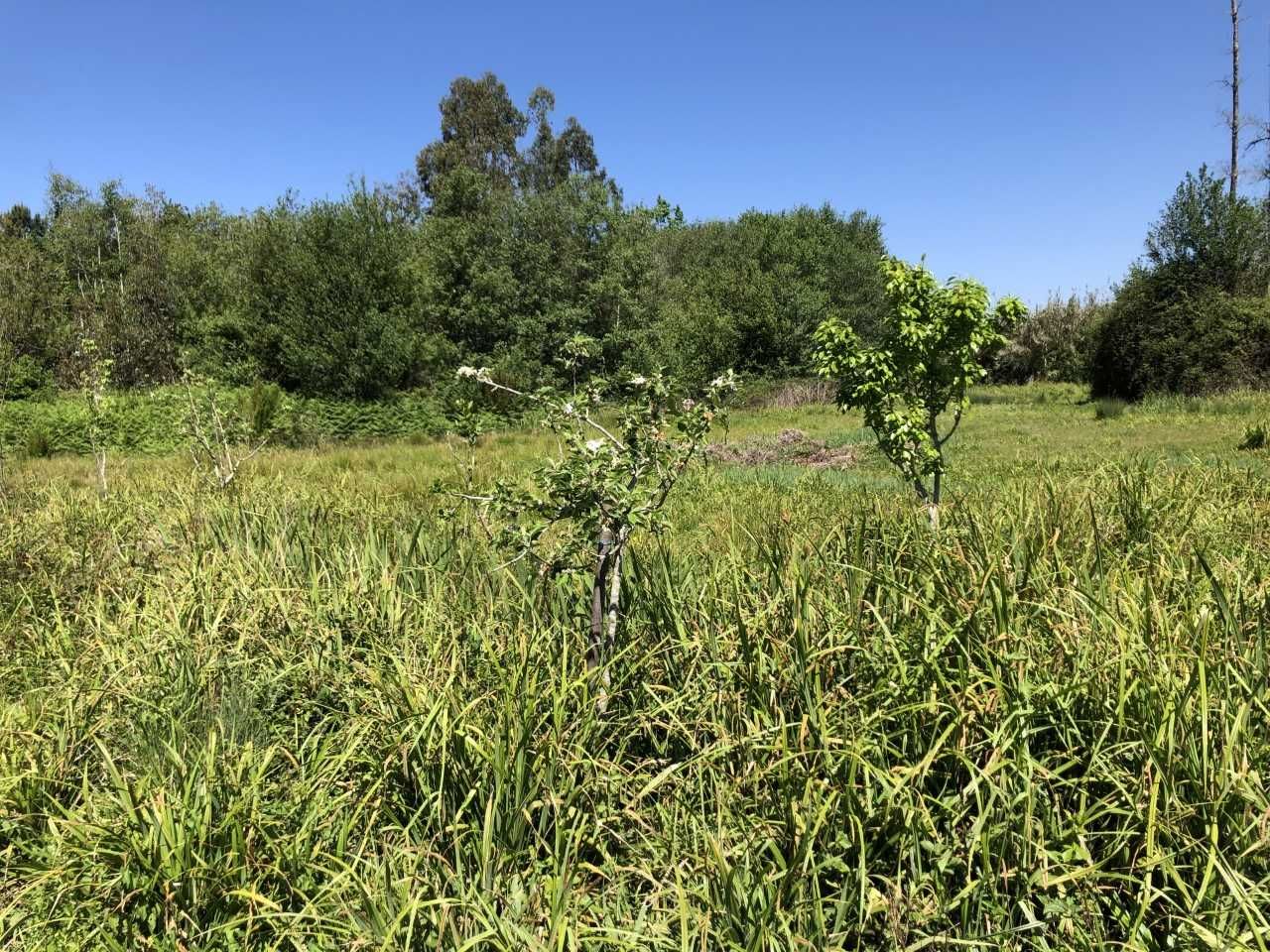 Terreno agrícola para cultura biológica