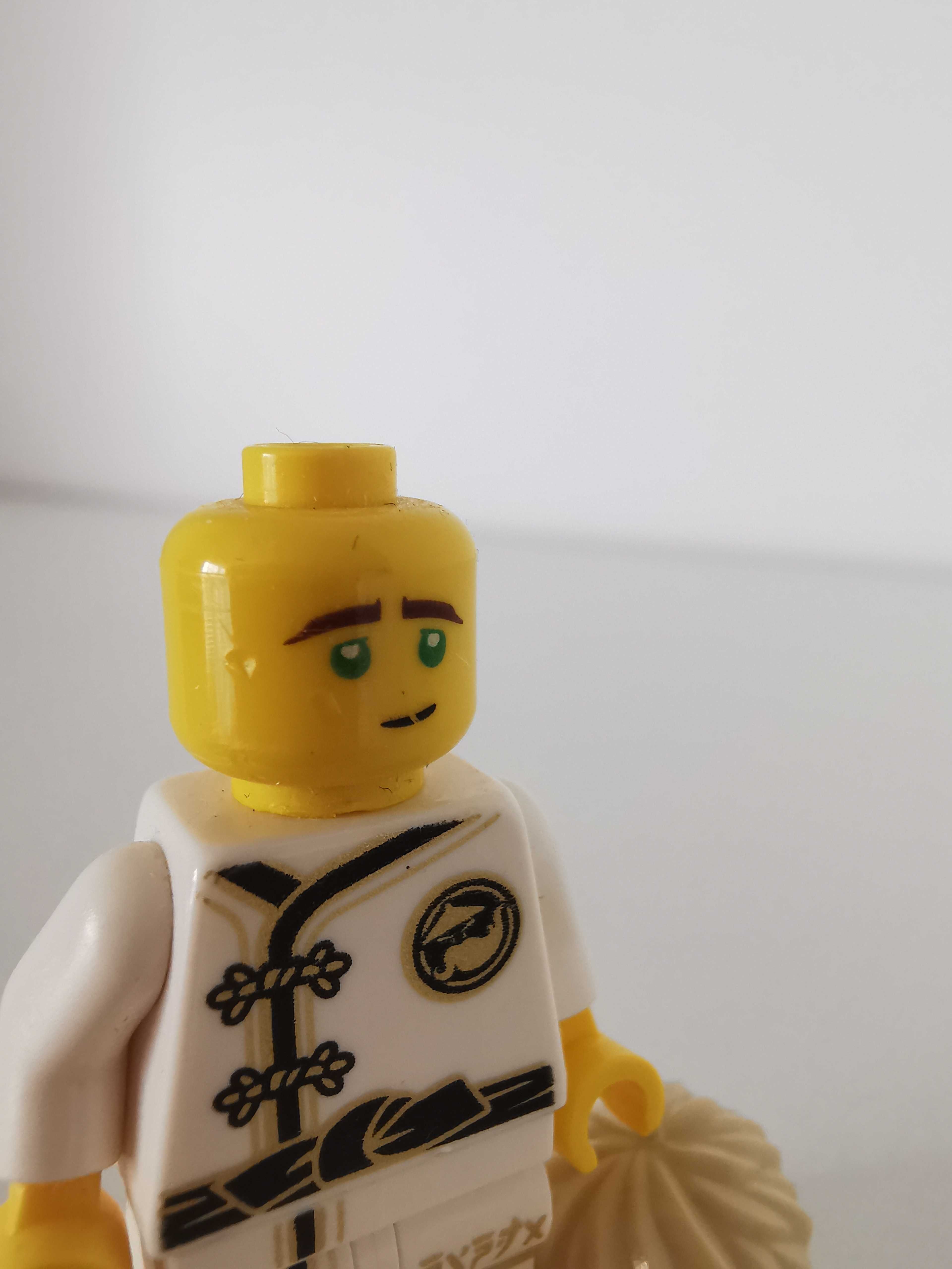 Lego Minifigures Ninjago
njo429