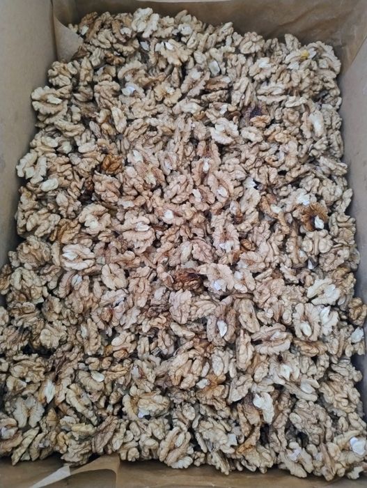 Orzechy włoskie łuskane tegoroczne