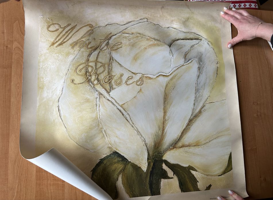 white roses 2004 heidi gerstner plakat kwiaty roze ilustracja grafika