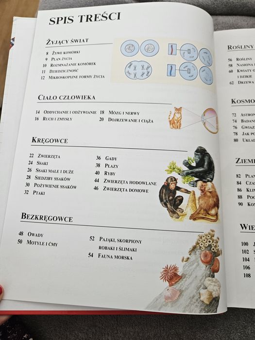 Szkolna encyklopedia Collins