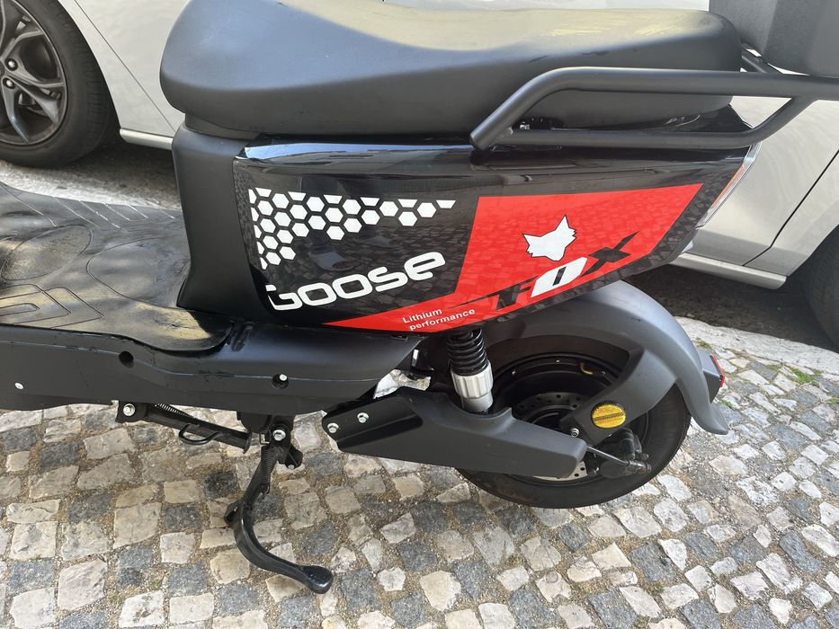 FOX GOOSE 2025 LITHIUM BATTERY.  4 months used, Almost new