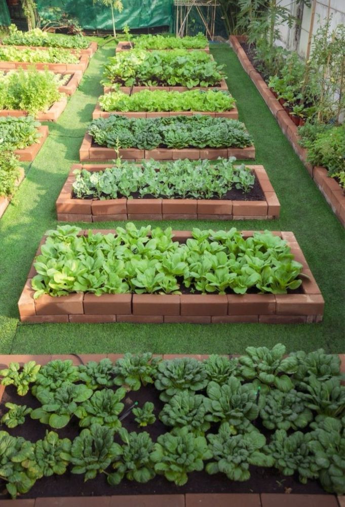 Serviços Profissionais de Jardinagem e Limpeza