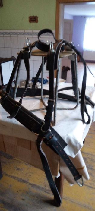 Uprząż dla konia - puszorek