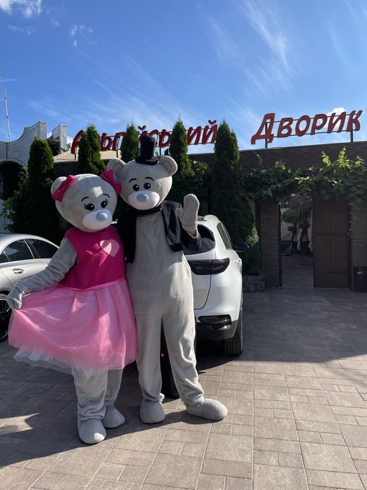 Аренда костюмов,ростовых кукол.Мишка Тедди,Пикачу.