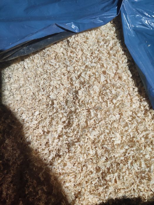 Trociny sosnowe big bag.