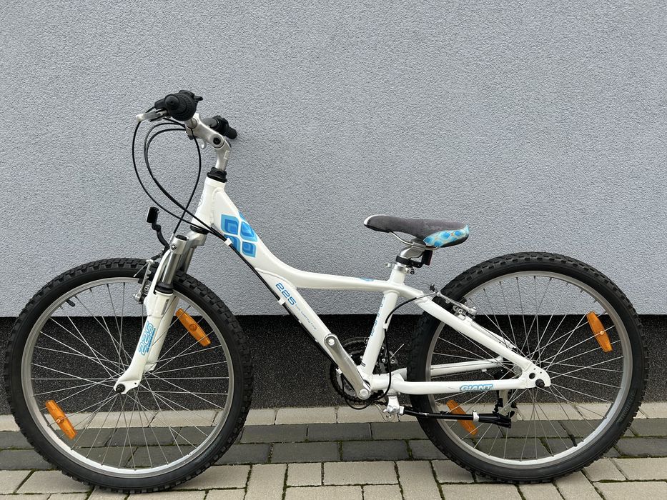 Rower Giant Taffy 24”