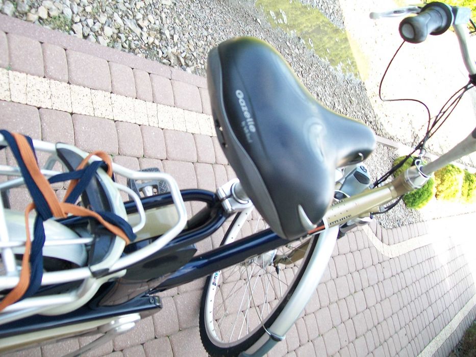 Rower elektryczny Gazelle Easy Glider