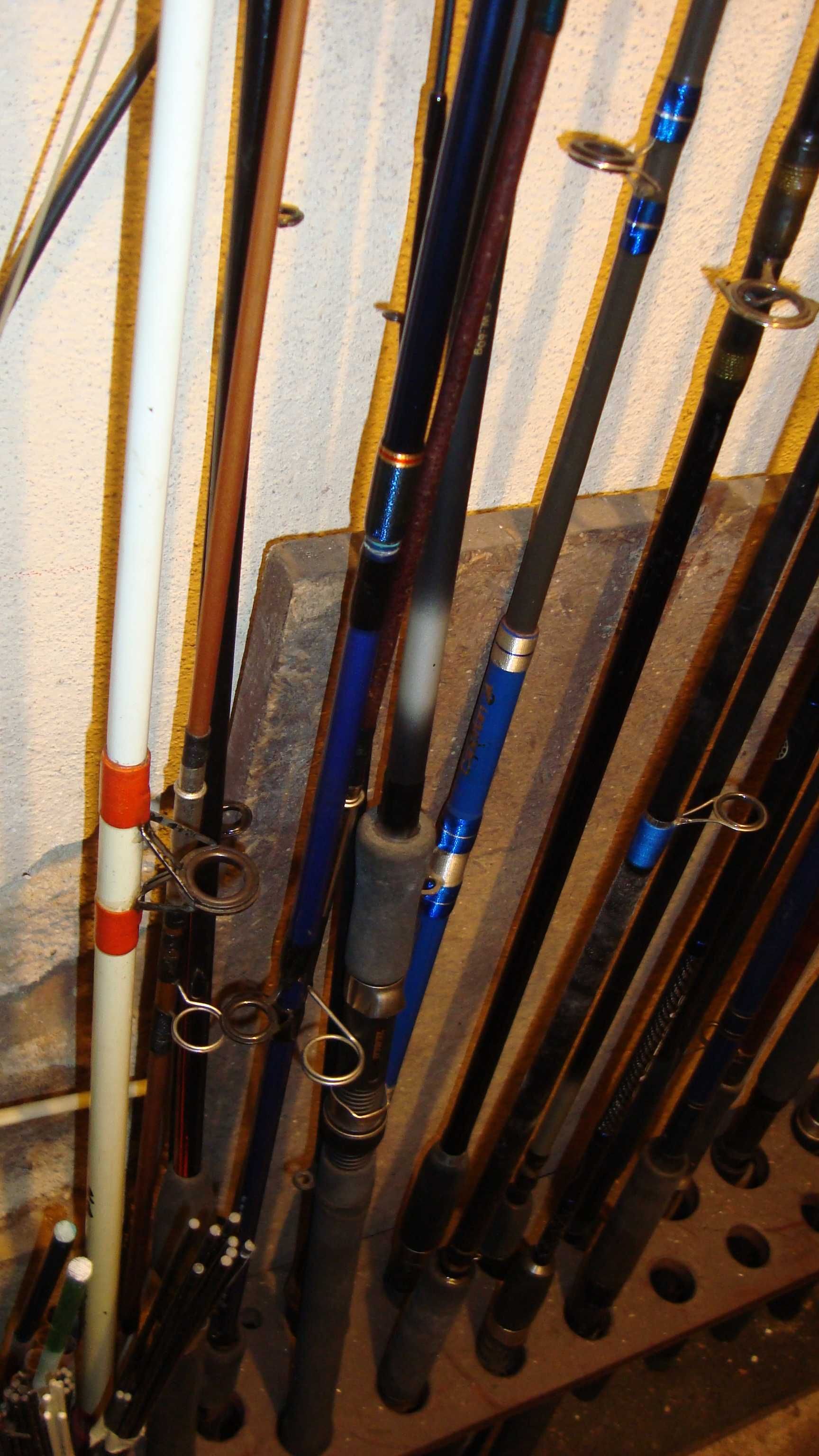 Palhaços  de  choco   e  Toneiras  lulas