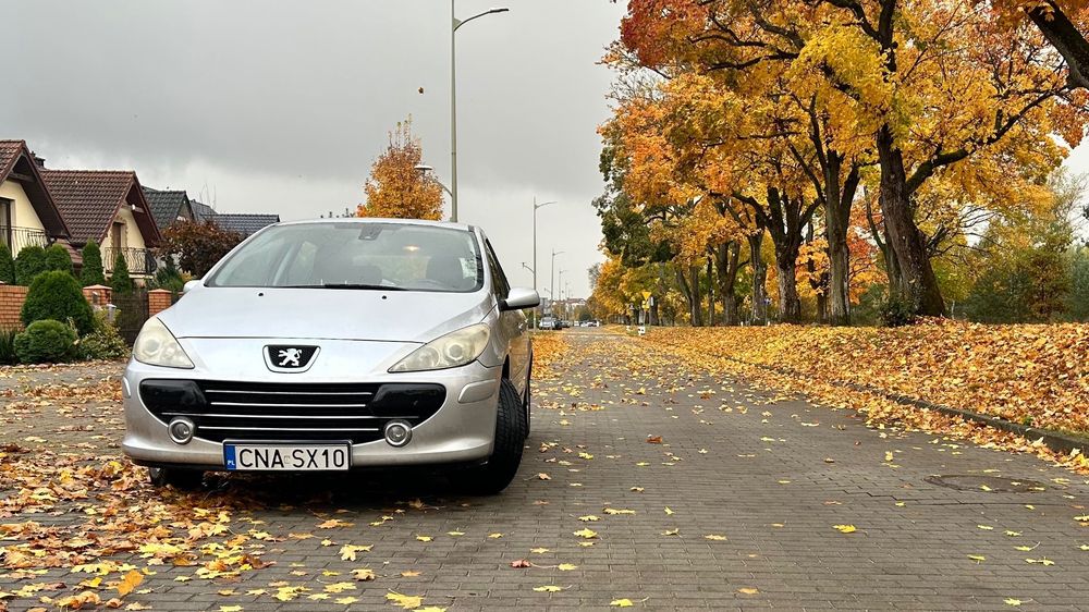 Peugeot 307 Peugeot 307