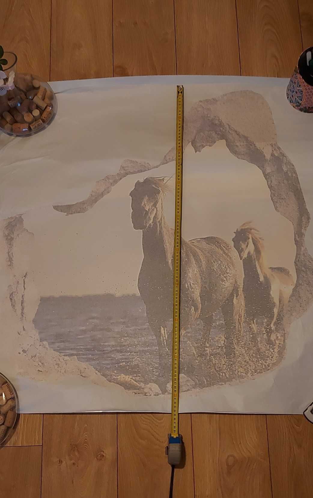 Nowa naklejka na ścianę 3D koń w galopie