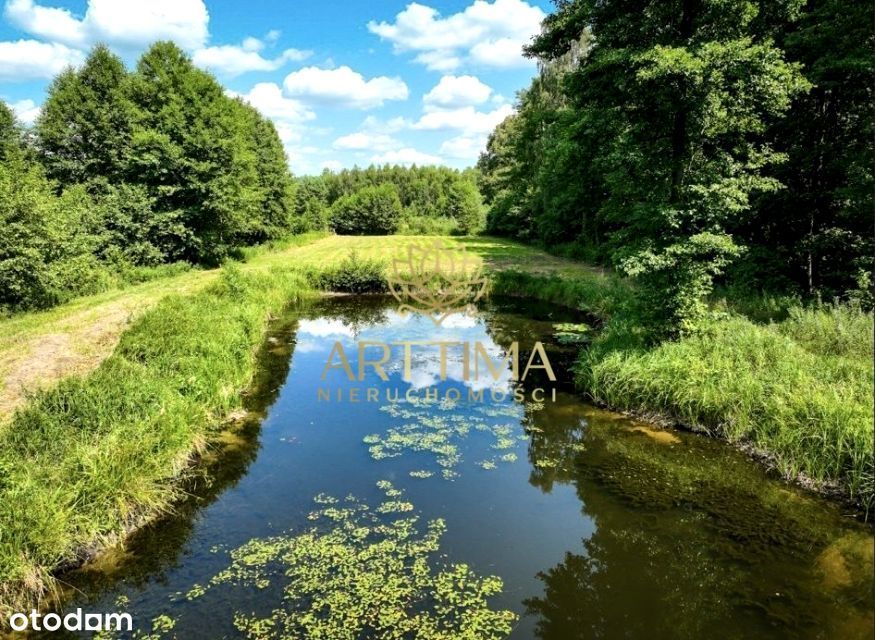 Działka Ze Stawem W Nekielce