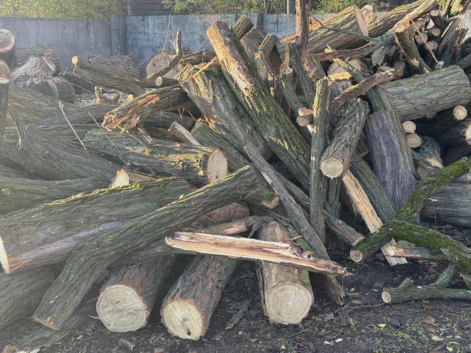 Дрова микс Акация Ясень Берест Клен