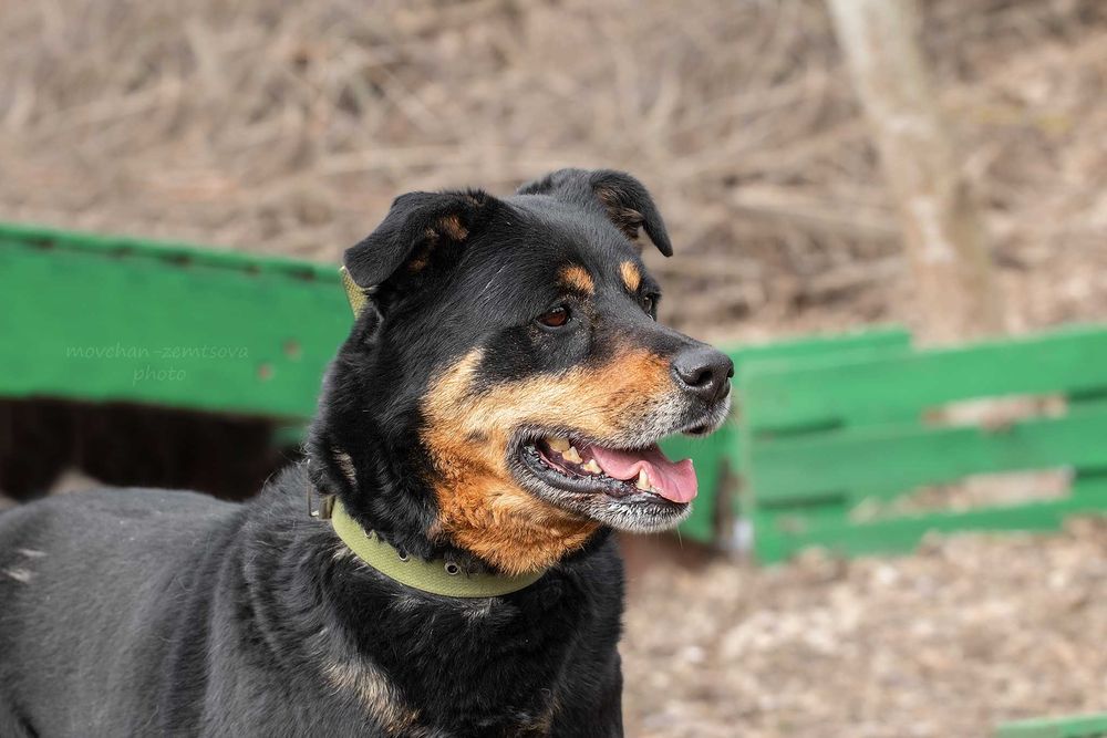 Шикарна Джес шукає родину