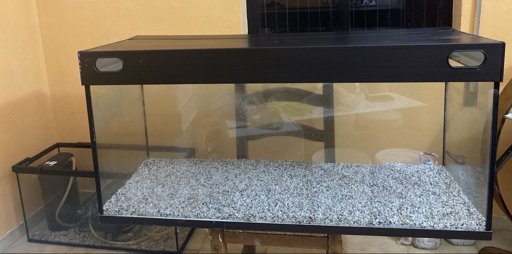 terrário e aquário com filtro de limpeza de água