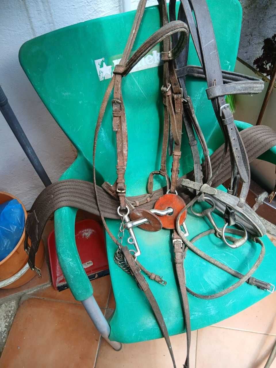 Conjunto de equipamento de equitação completo novo