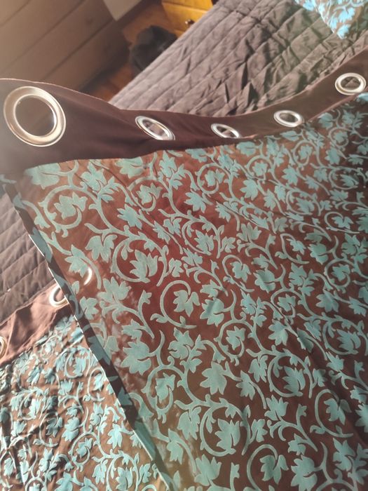 Cortinados Gato Preto