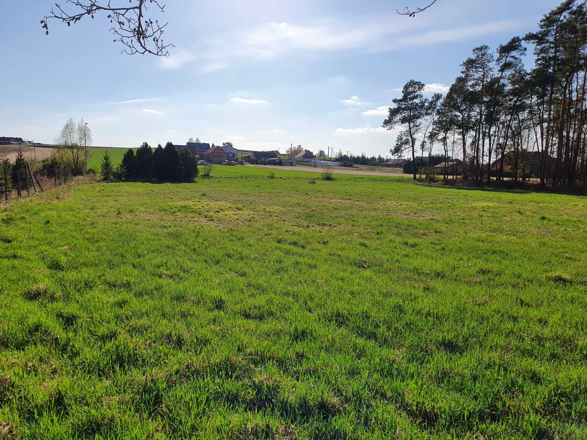 Działka  budowlana Smogorzewo gm. Piaski Wlkp.  pow. 1621 m2