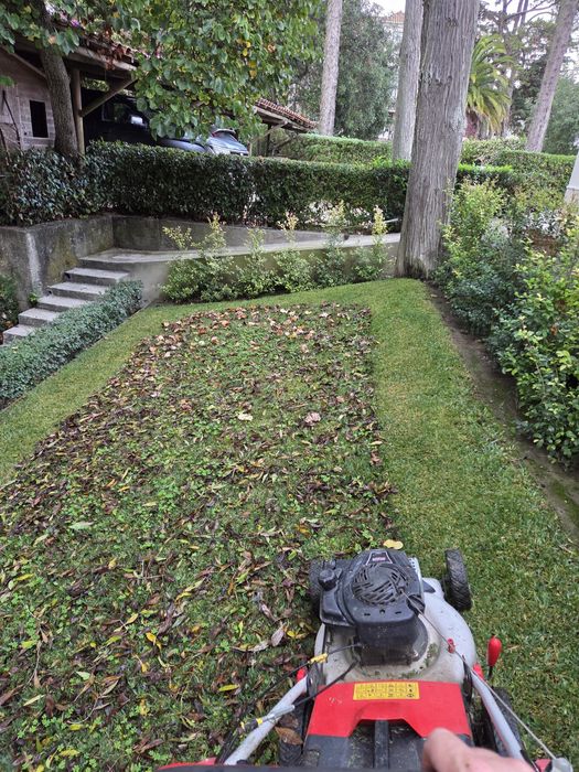 Manutenção de jardins