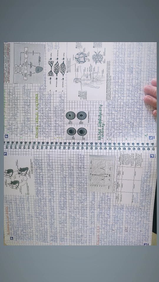 Korepetycje z biologii ichemii