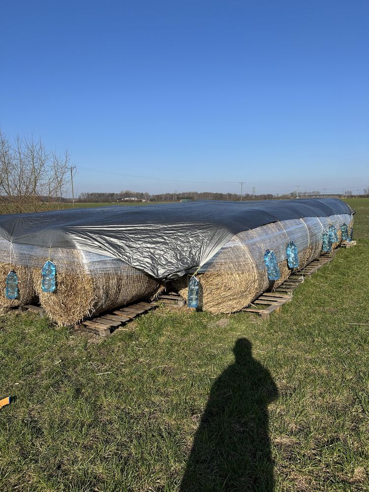 Sloma  Bela Bele do truskawek Żytnia  bez chwastów