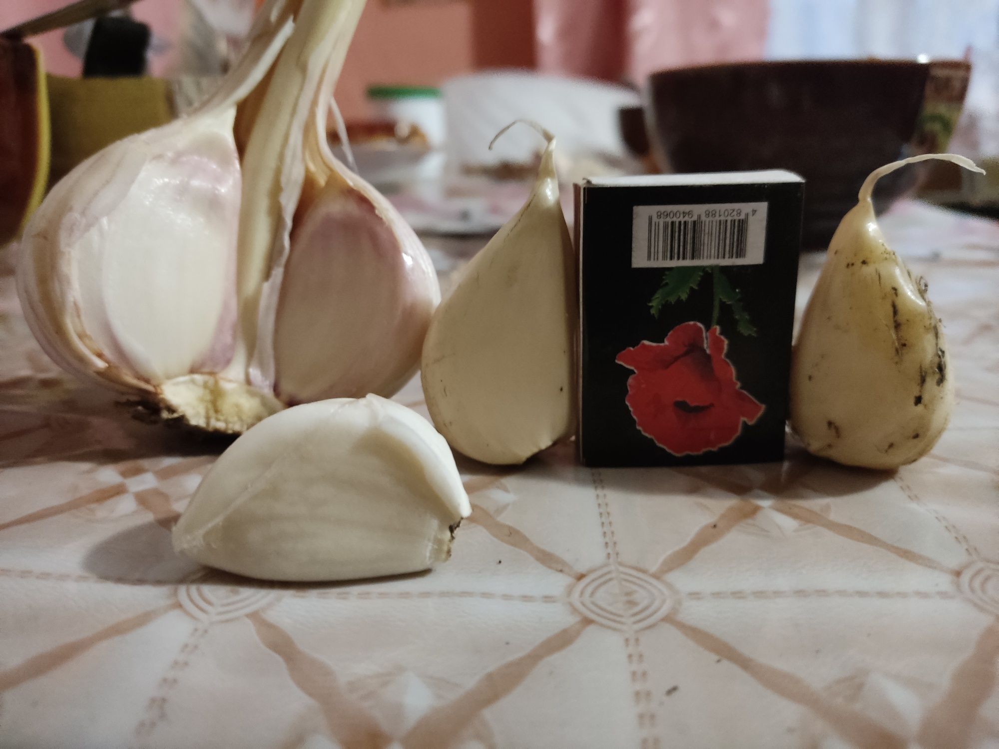 Продам часник сорту Любаша