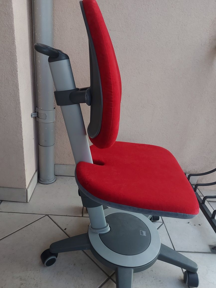 MOLL krzesło do biurka dla dziecka,rośnie,razem z dzieckiem,Nowy model