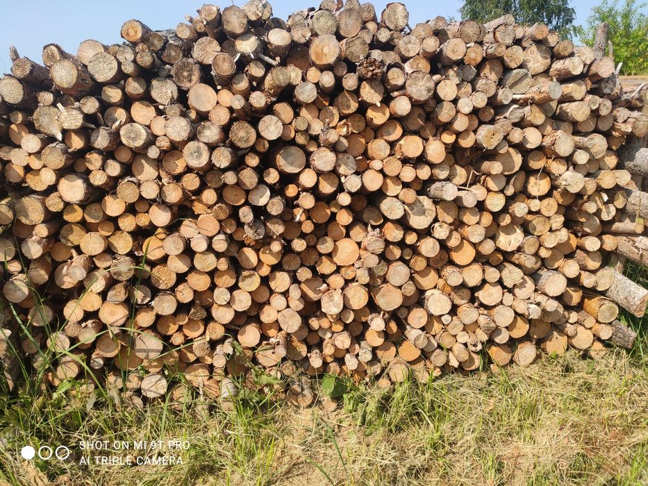 Drewno kominkowe/opałowe