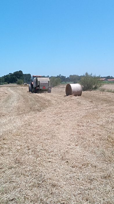 Vende-se rolos de palha