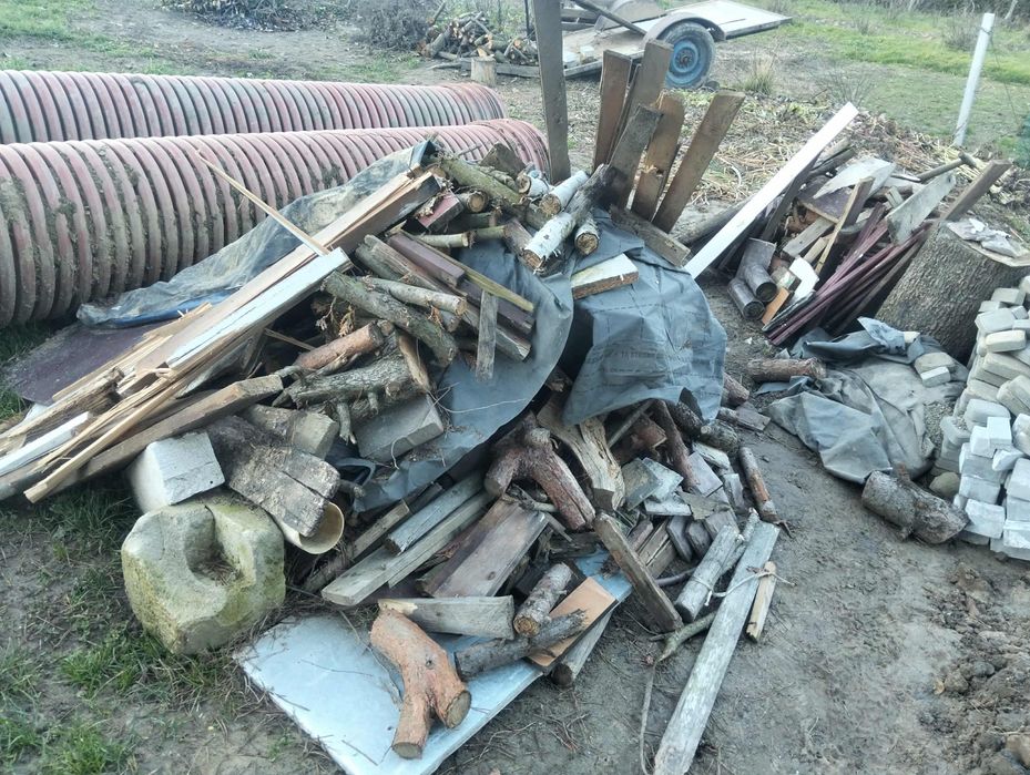 Suche drzewo na podpałkę