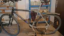 Rower KELLYS _21"
