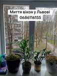 Миття вікон, прибирання, хімчистка м'яких меблів
