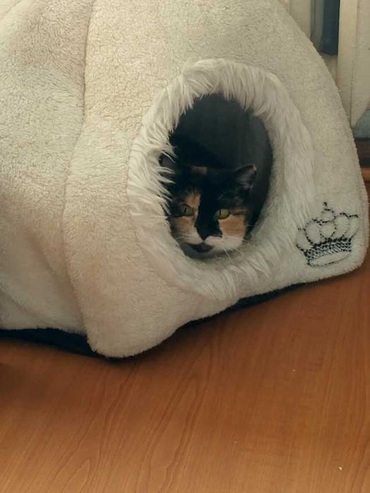 Niby taka piękna, a niechciana...