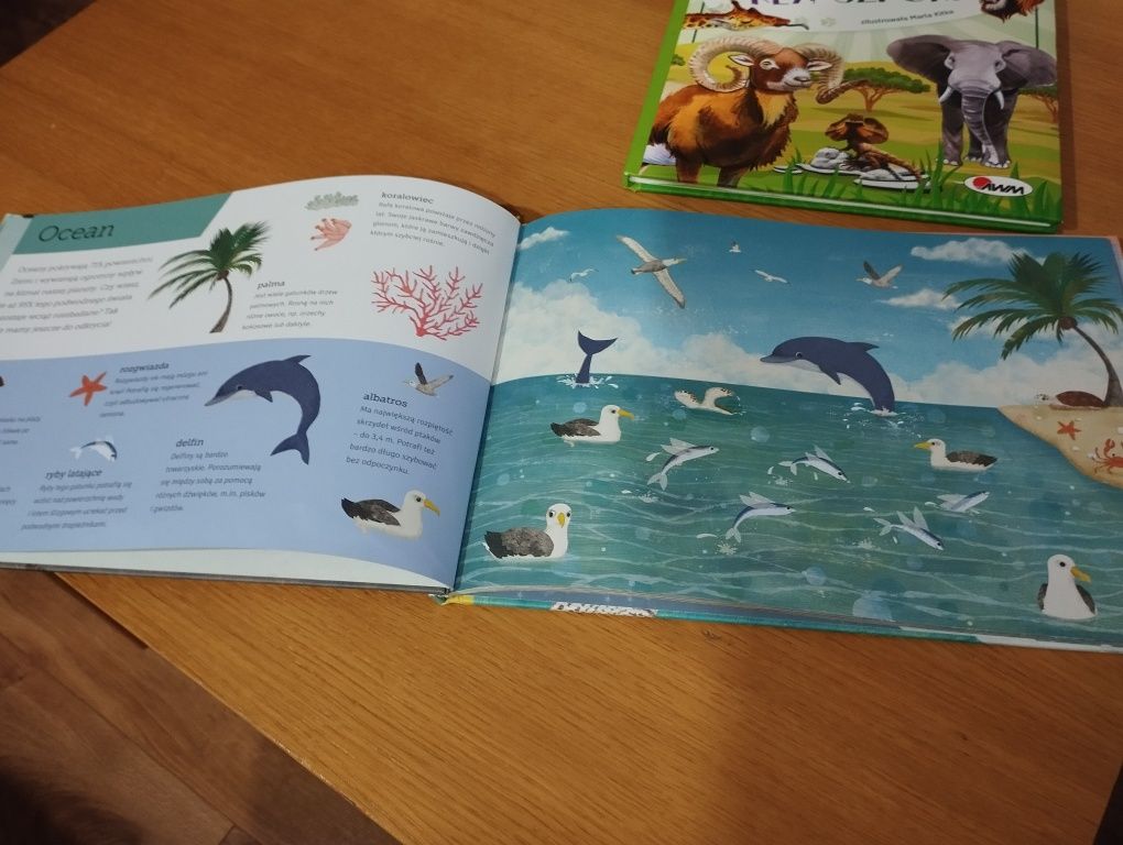 Zestaw 2 książek dla dzieci. Tematyka zwierząt