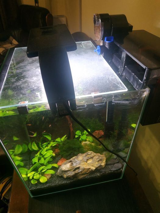 Akwarium krewetkarium kostka 35x29x29 komplet z dodatkami