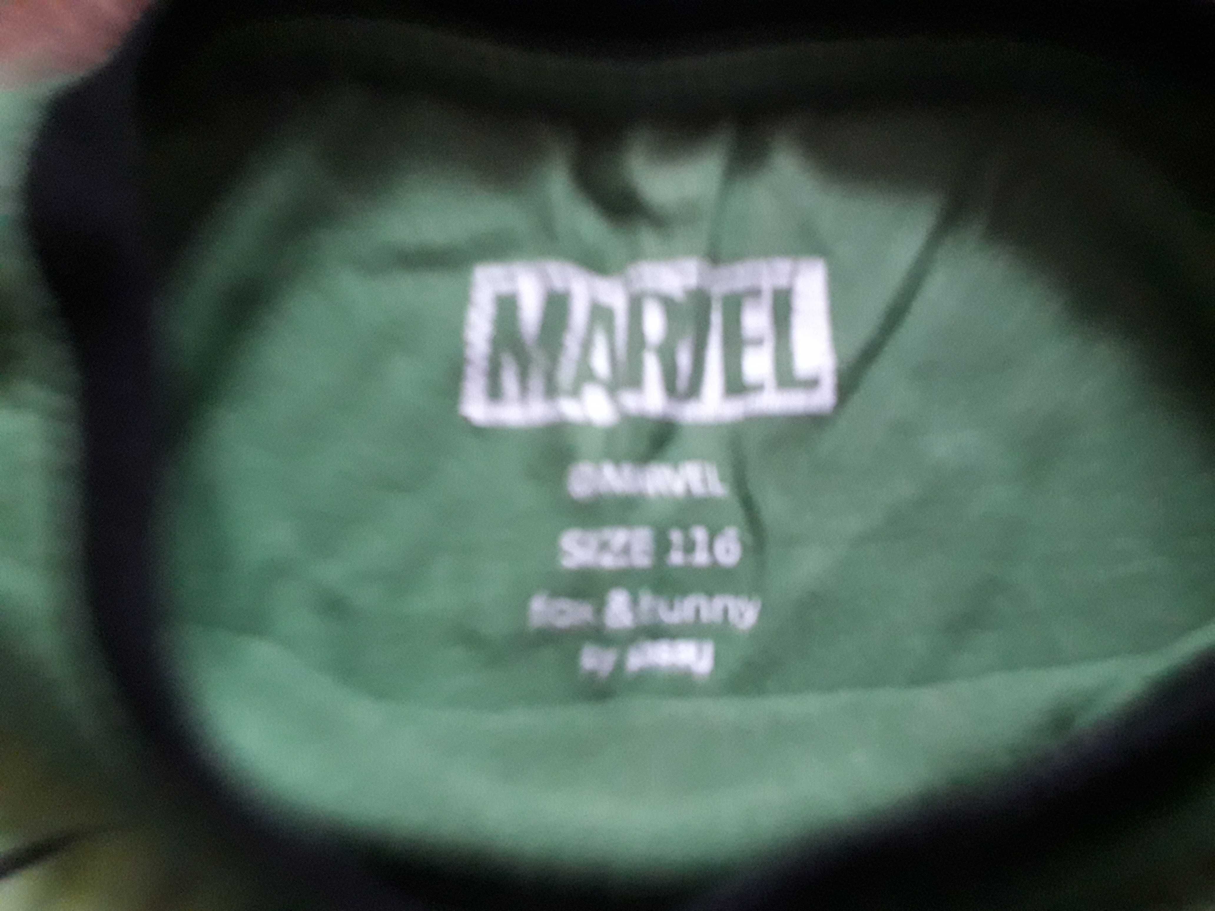 Koszulka chłopięca hulk marwell