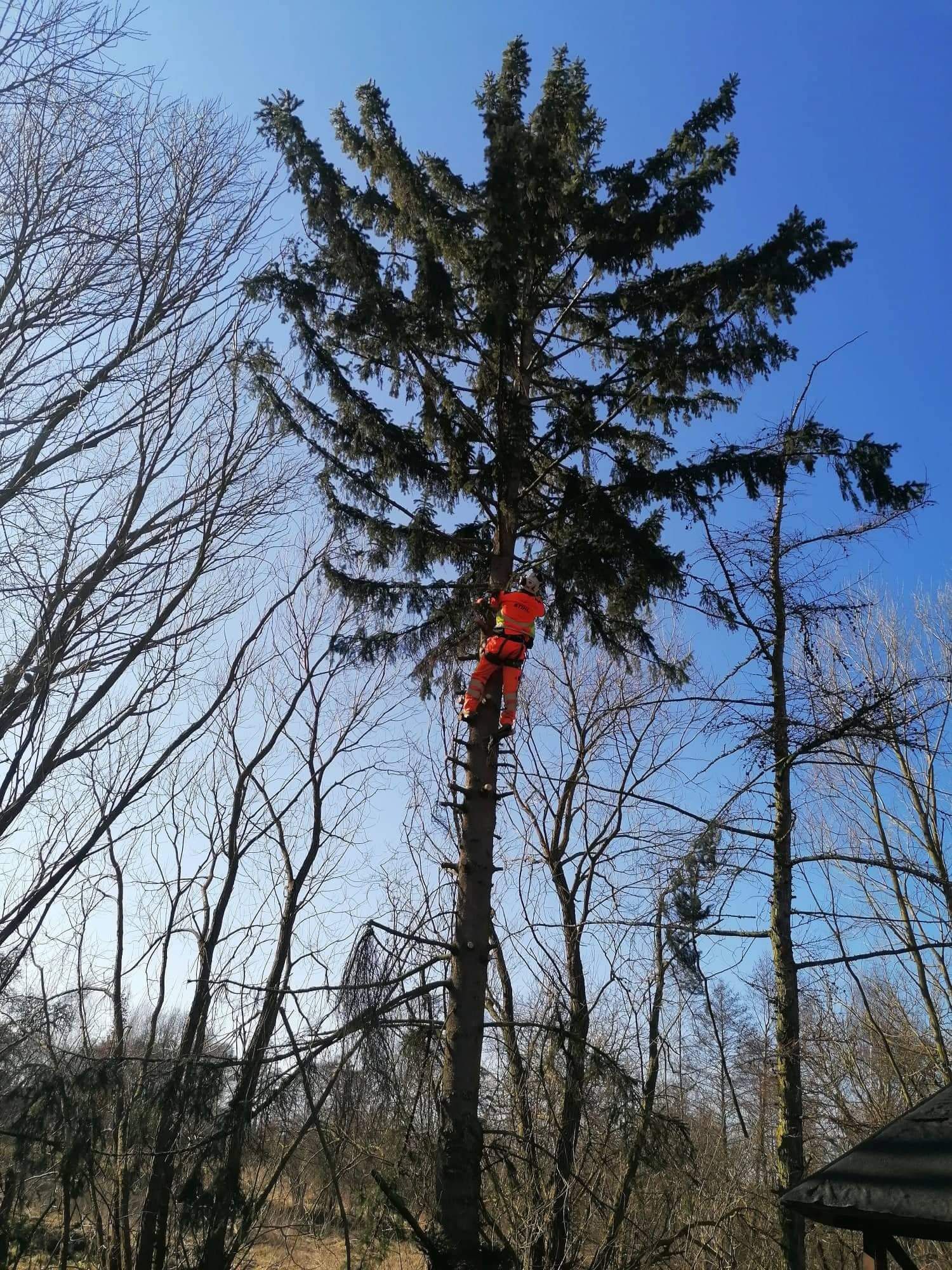 Prace dekarskie Wycinka drzew Mycie dachów Alpiniści