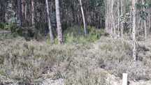 Terreno  para venda