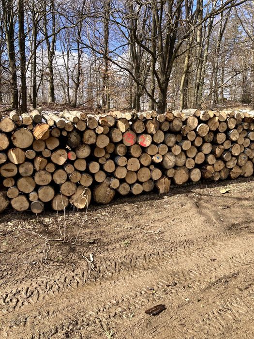 DREWNO OPAŁOWE kominkowe sezonowane