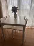 Vendo mesa e cadeiras