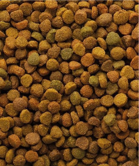 Zbilansowana karma dla kota - Versele-Laga Witaminy i Minerały 10kg
