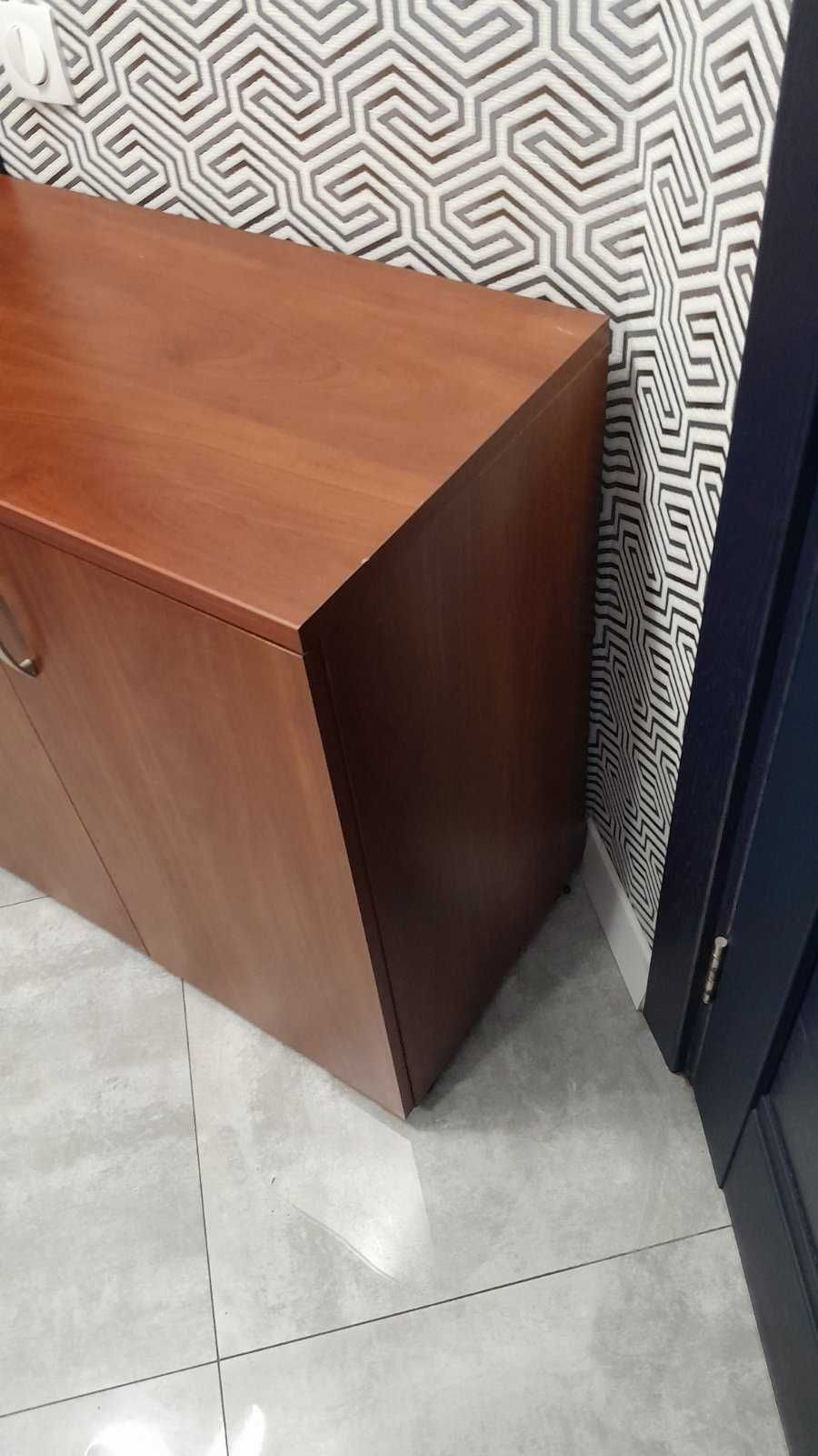 Тумба двухдверная