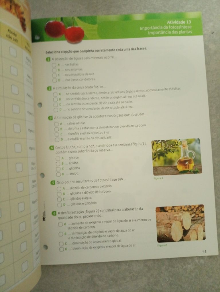 Caderno atividade Ciências Naturais 6º Cientic