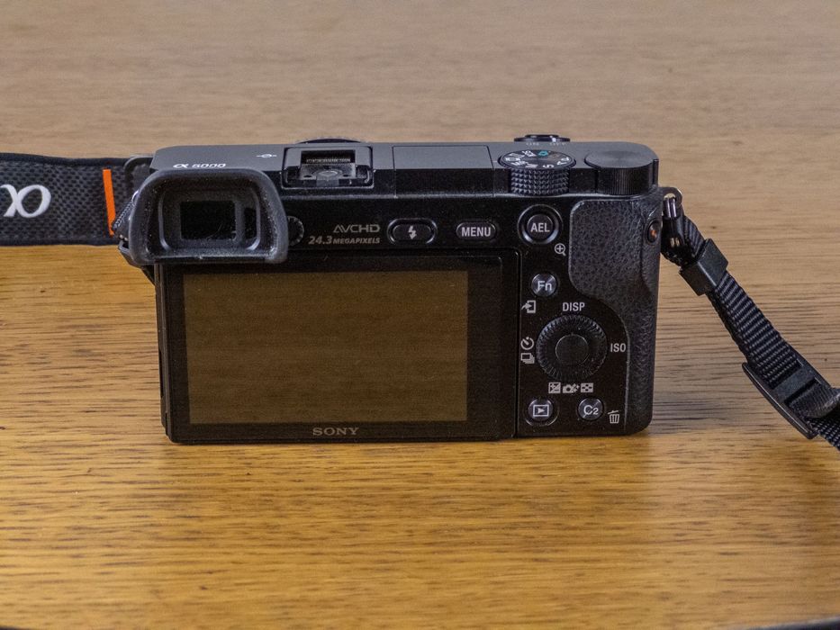 Sony Alpha A6000 (body)