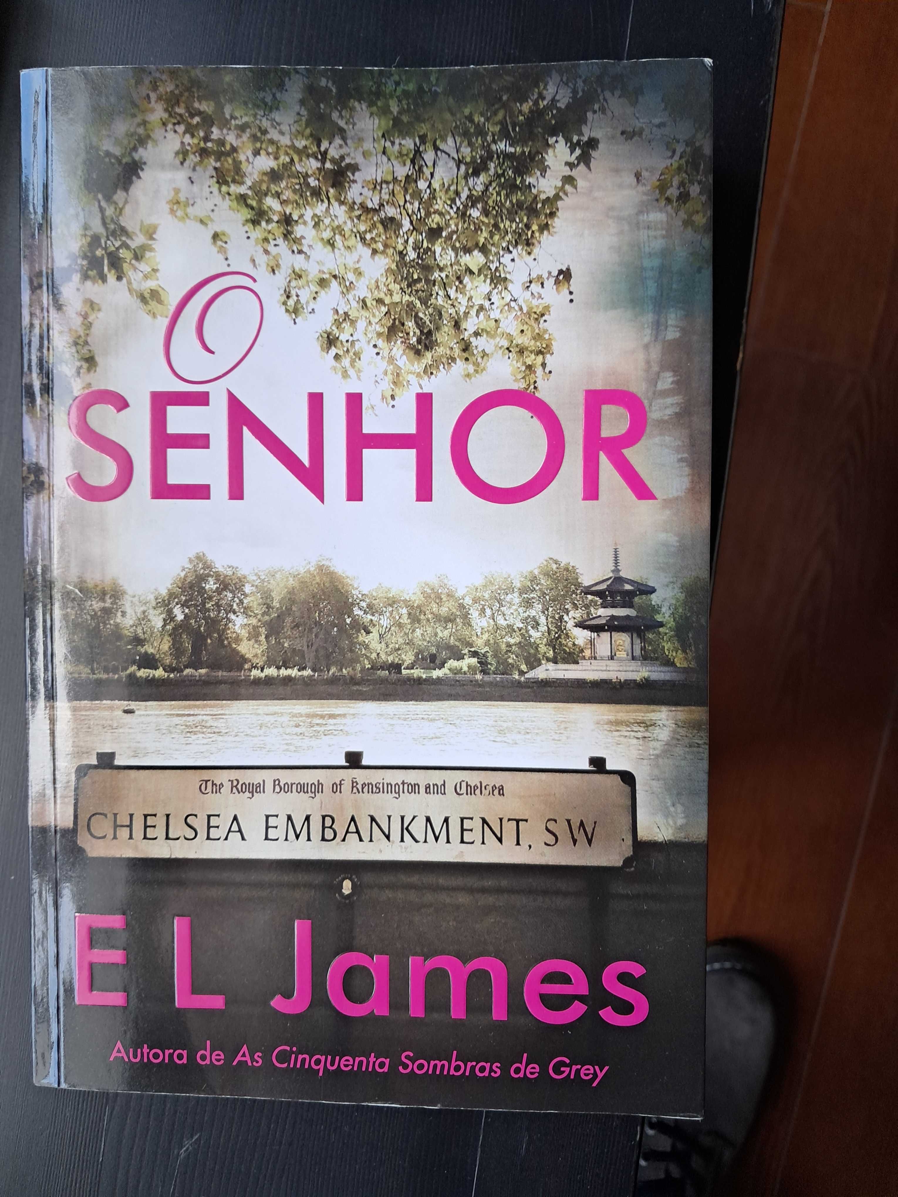 Livro E.L.James " O senhor"