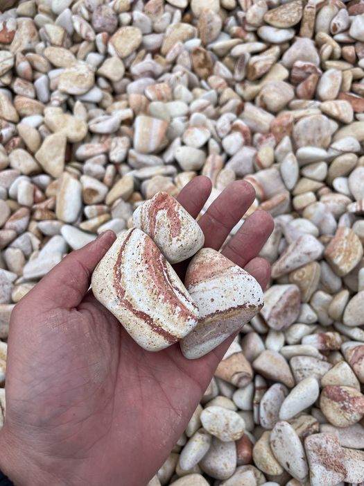 OTOCZAK TĘCZOWY Kamień do Ogrodu, Akwarium Rainbow, Polityko Żwir