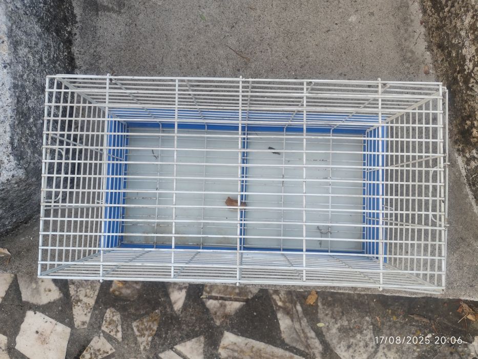 Gaiola para animais