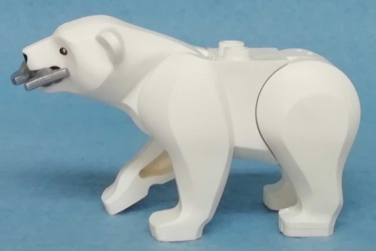 Urso Branco (Animais)